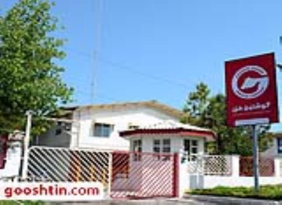 تاریخچه